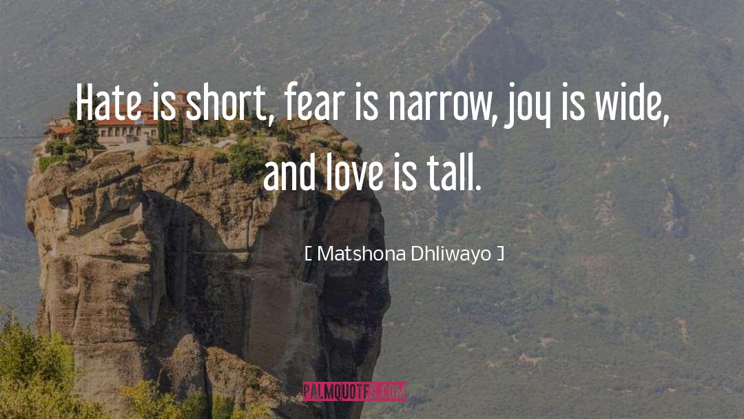 No Hate quotes by Matshona Dhliwayo