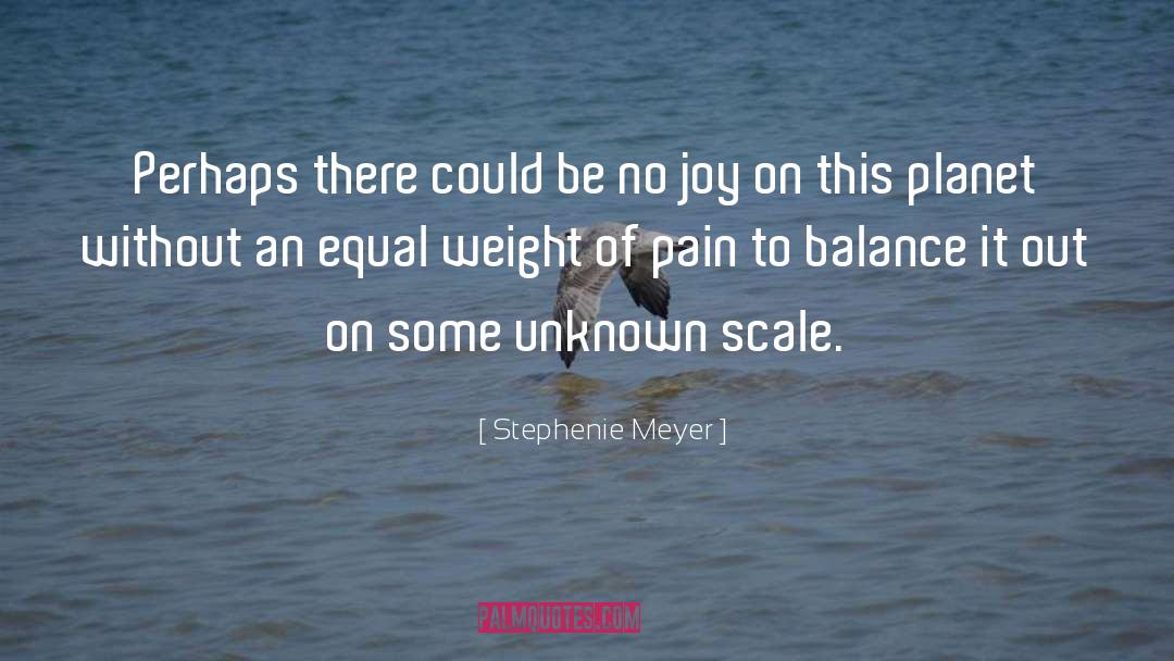 No Joy quotes by Stephenie Meyer