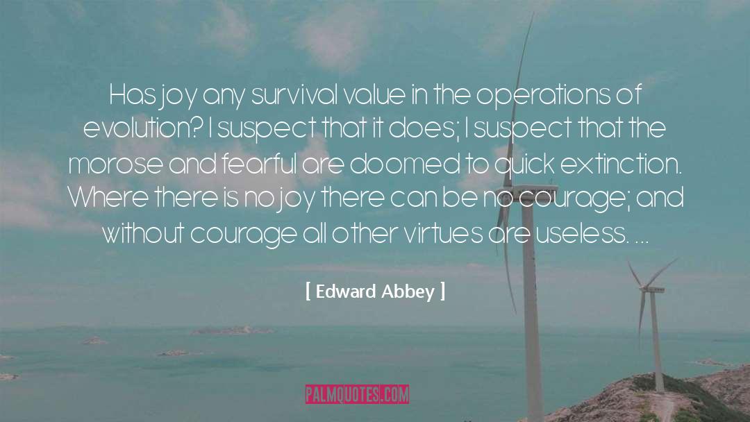 No Joy quotes by Edward Abbey