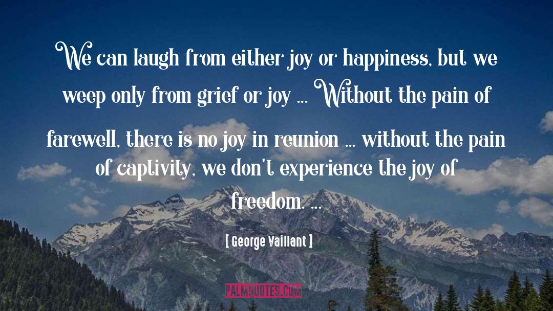 No Joy quotes by George Vaillant