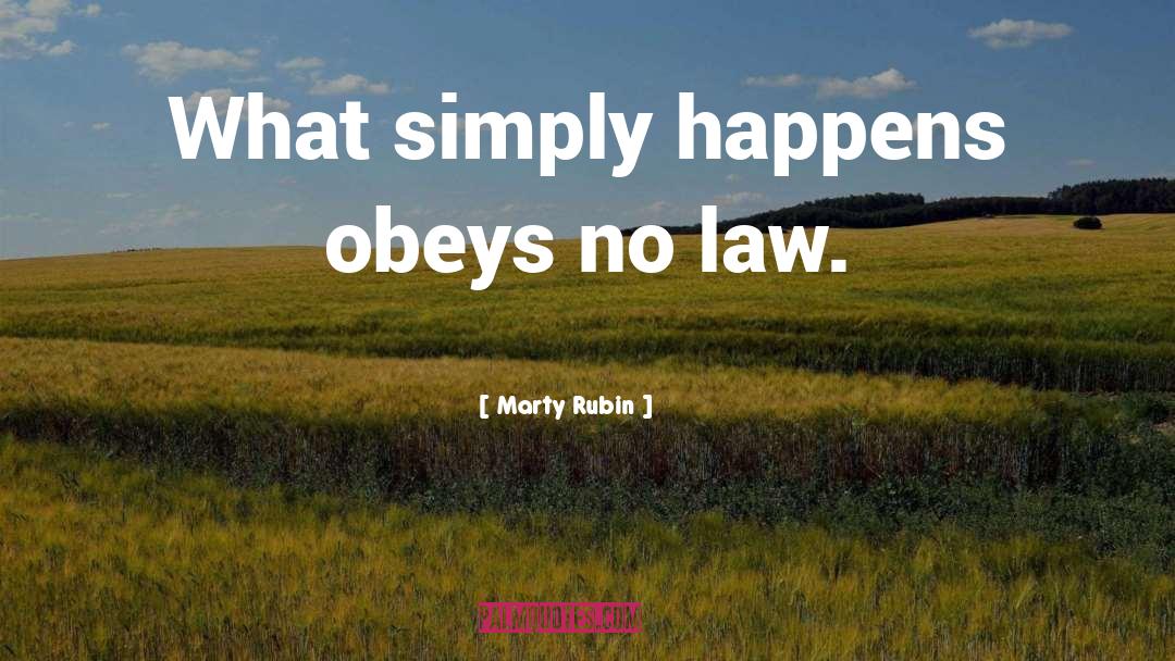 No Law quotes by Marty Rubin