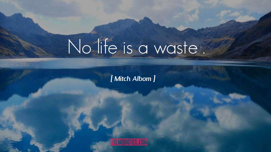 No Life quotes by Mitch Albom