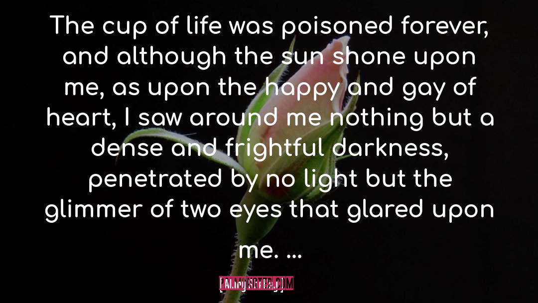 No Light quotes by Mary Shelley