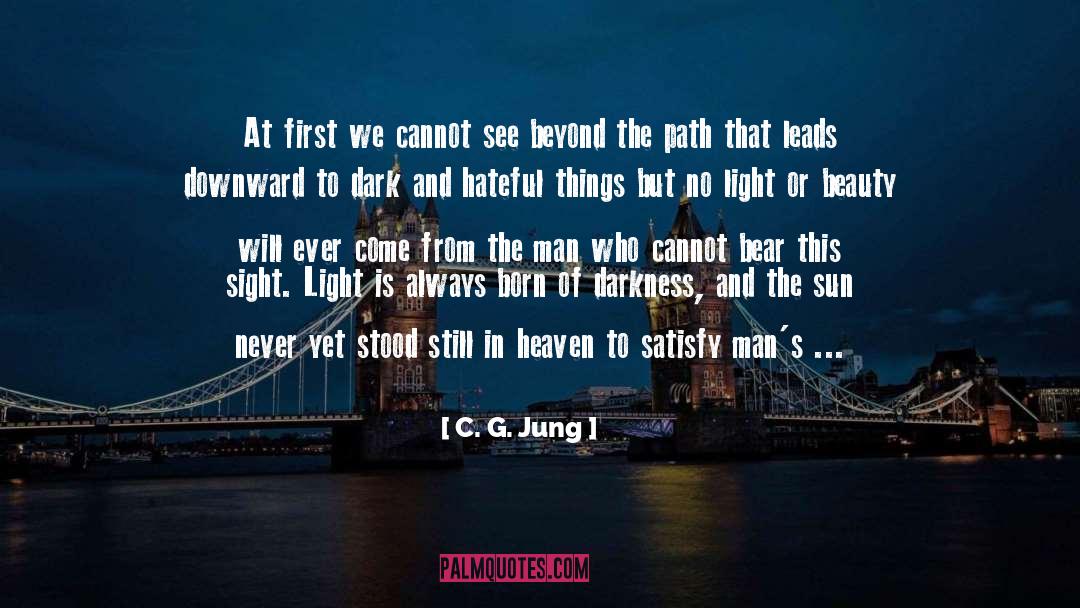 No Light quotes by C. G. Jung