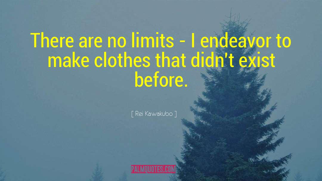 No Limits quotes by Rei Kawakubo