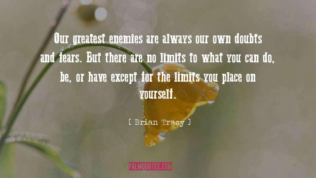 No Limits To What You Can Do quotes by Brian Tracy