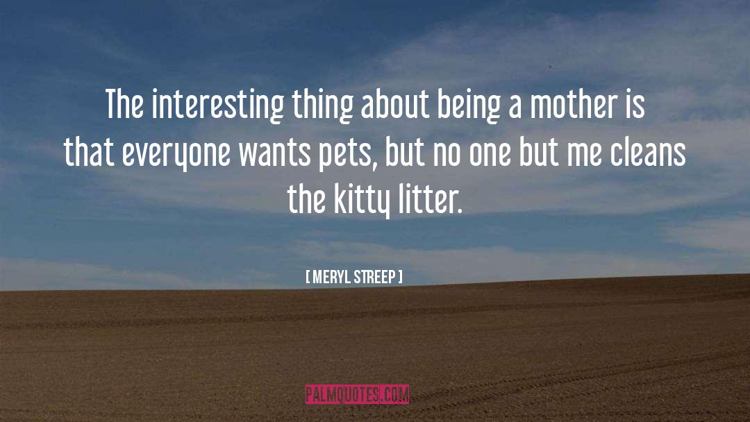 No Litter Zone quotes by Meryl Streep