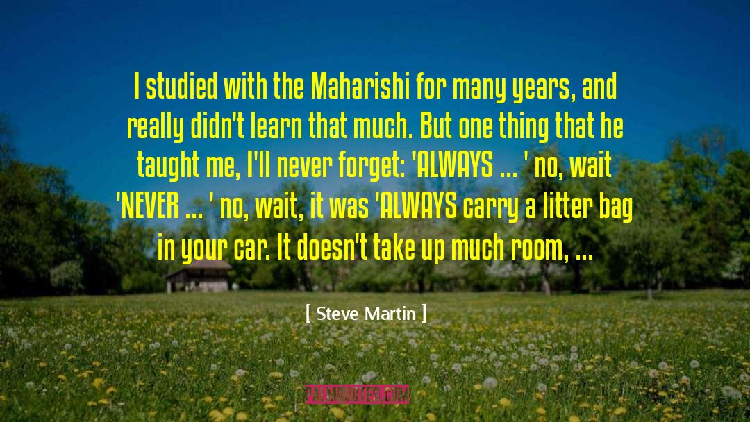 No Litter Zone quotes by Steve Martin