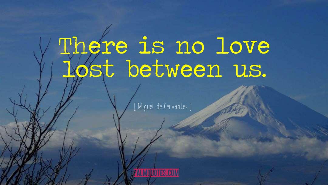 No Love Lost quotes by Miguel De Cervantes