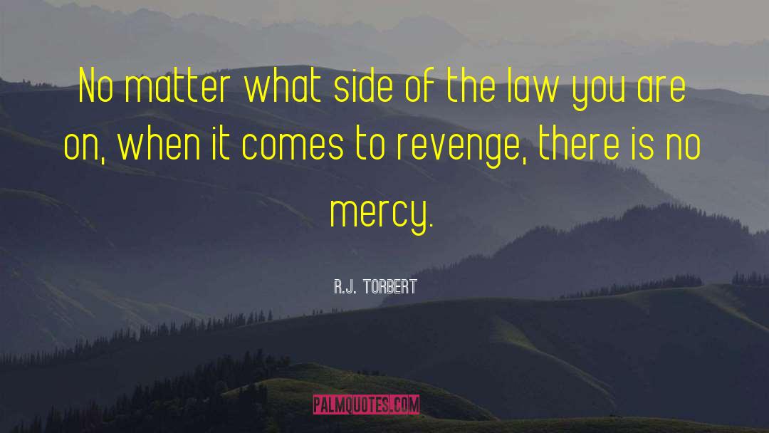 No Mercy quotes by R.J. Torbert