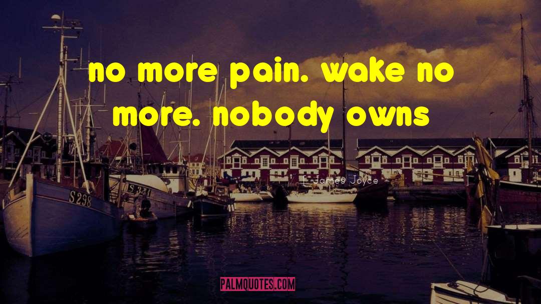 No More Pain quotes by James Joyce