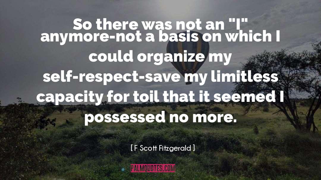 No More Racismk quotes by F Scott Fitzgerald