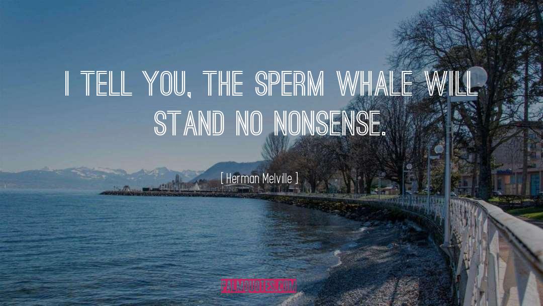 No Nonsense quotes by Herman Melville