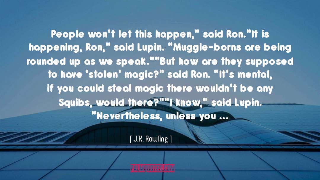 No One Can Steal My Joy quotes by J.K. Rowling