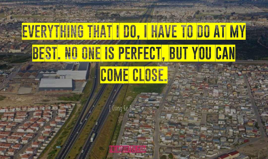 No One Is Perfect quotes by Cung Le