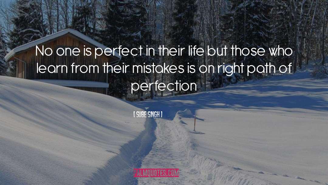 No One Is Perfect quotes by Sube Singh