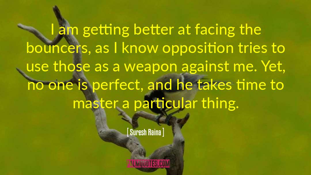 No One Is Perfect quotes by Suresh Raina