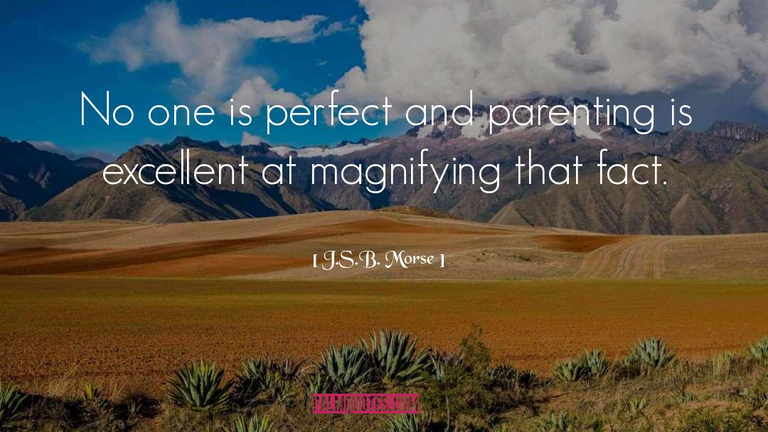 No One Is Perfect quotes by J.S.B. Morse