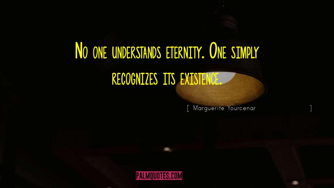 No One Understands quotes by Marguerite Yourcenar