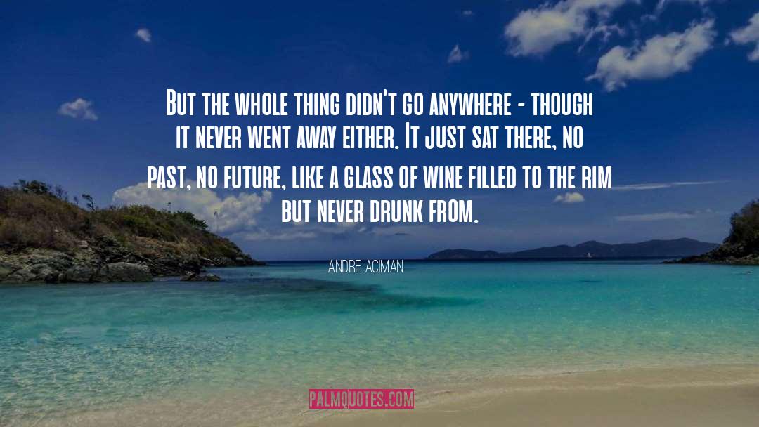 No Past quotes by Andre Aciman