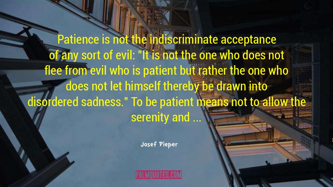No Patience quotes by Josef Pieper
