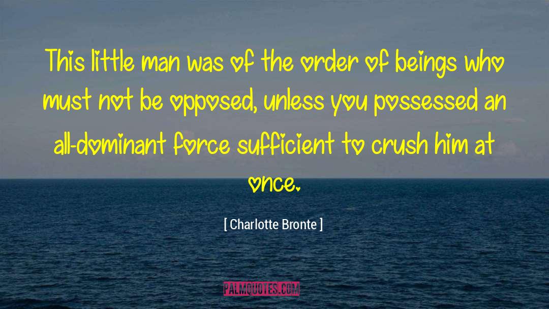 No Possessed quotes by Charlotte Bronte