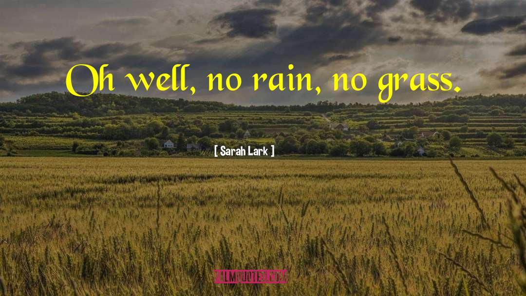 No Rain quotes by Sarah Lark