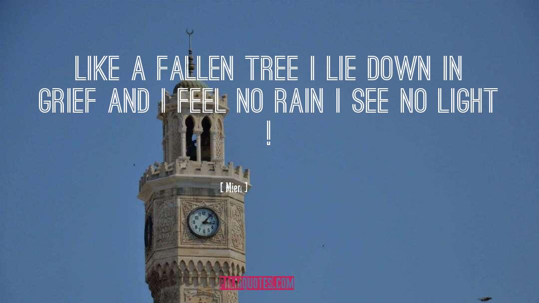 No Rain quotes by Mien
