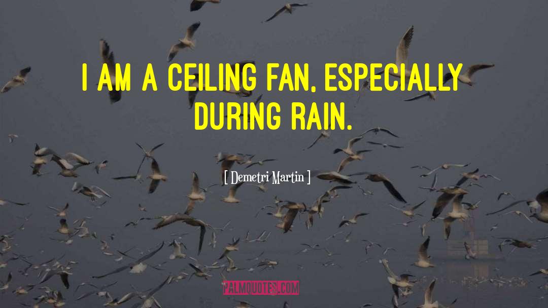 No Rain quotes by Demetri Martin