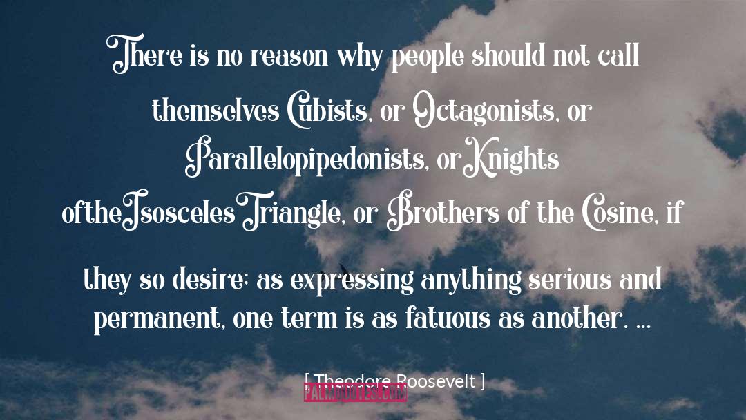 No Reason quotes by Theodore Roosevelt