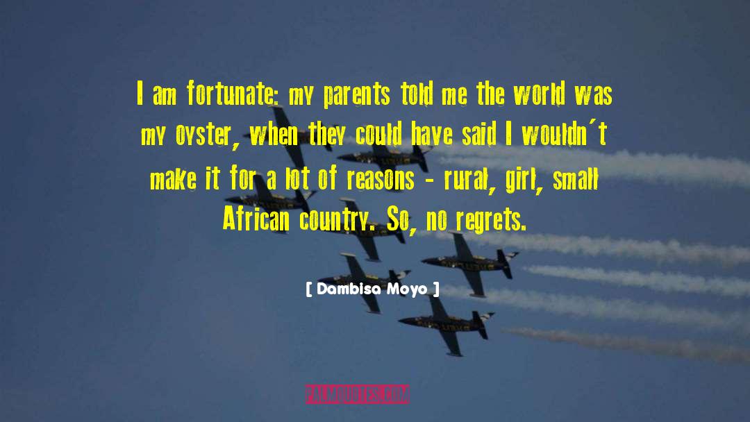 No Regrets Lesson Learned quotes by Dambisa Moyo