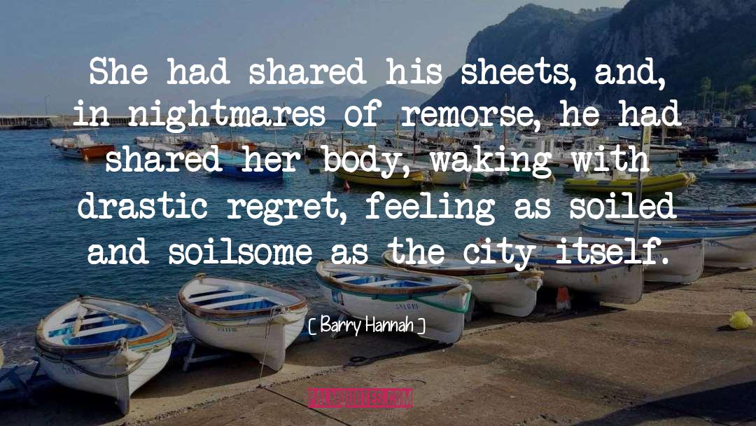 No Remorse quotes by Barry Hannah