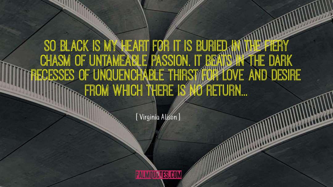 No Return quotes by Virginia Alison