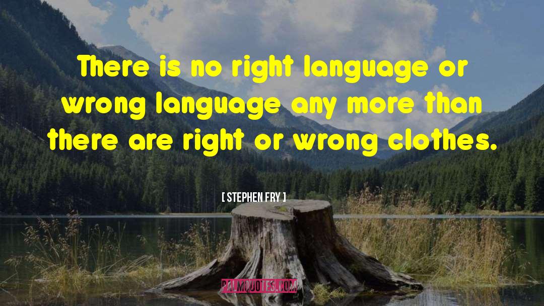 No Right Or Wrong Person quotes by Stephen Fry