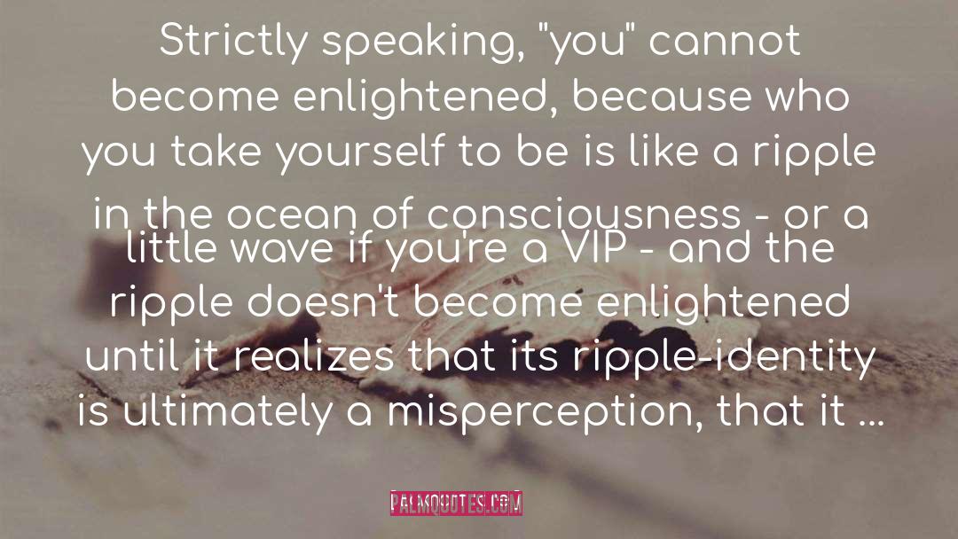 No Ripple quotes by Eckhart Tolle