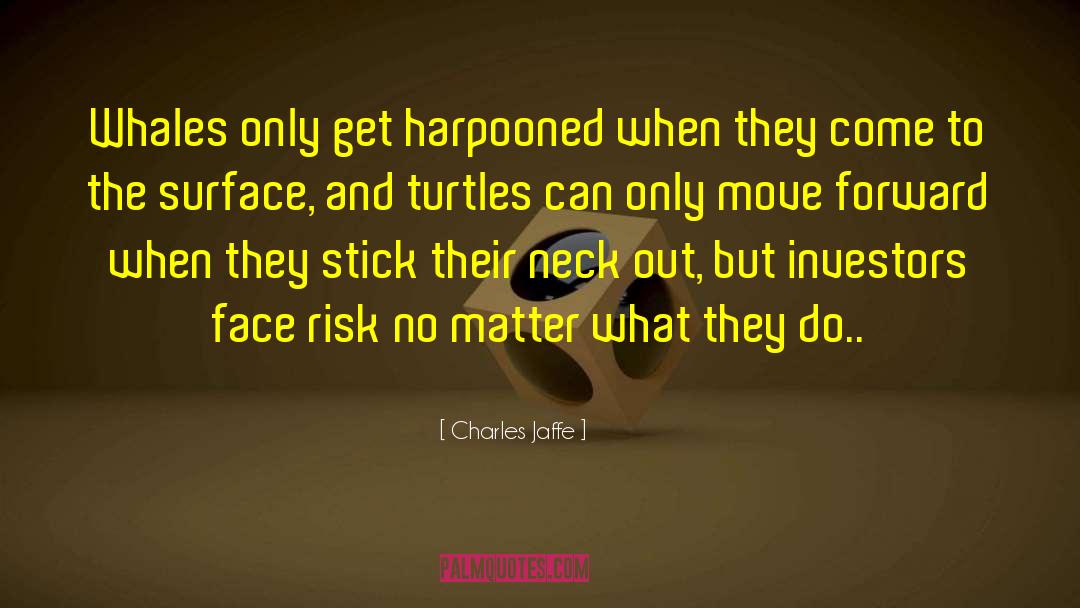 No Risk No Gain quotes by Charles Jaffe