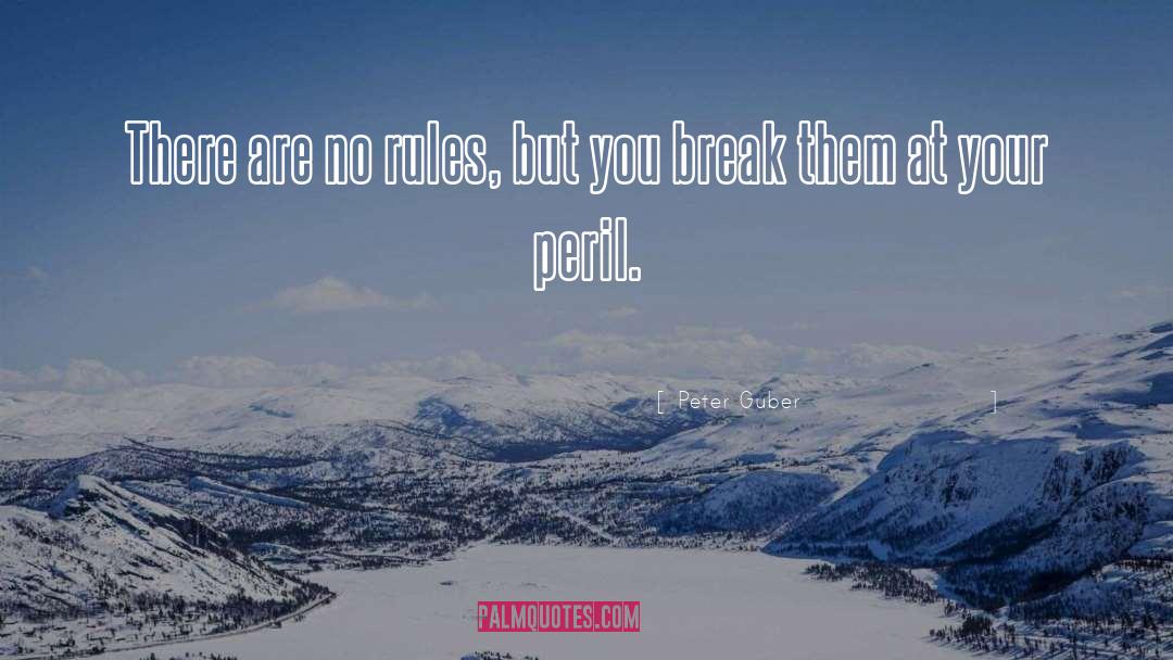 No Rules quotes by Peter Guber