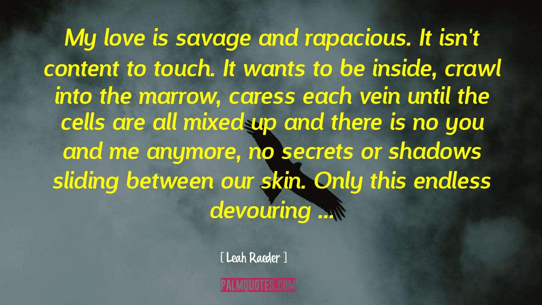 No Secrets quotes by Leah Raeder