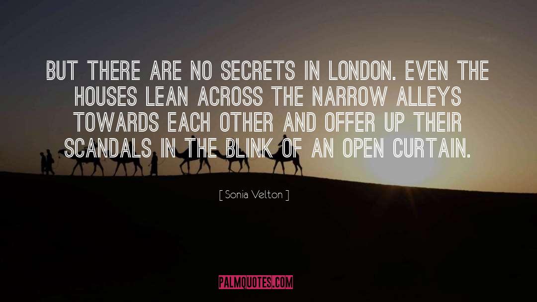 No Secrets quotes by Sonia Velton