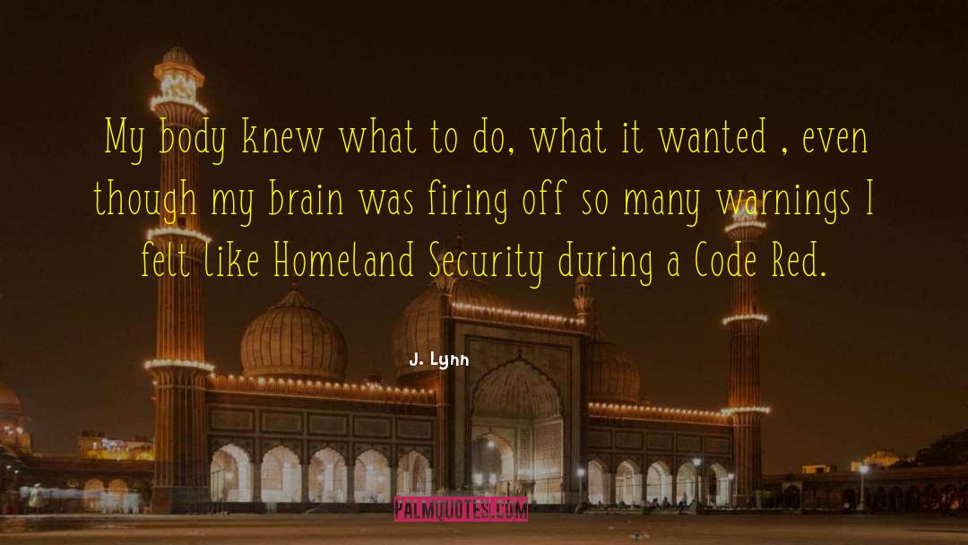 No Security quotes by J. Lynn