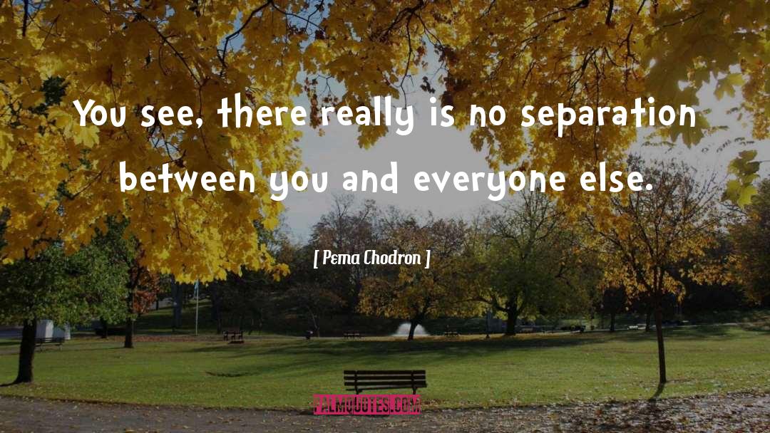 No Separation quotes by Pema Chodron