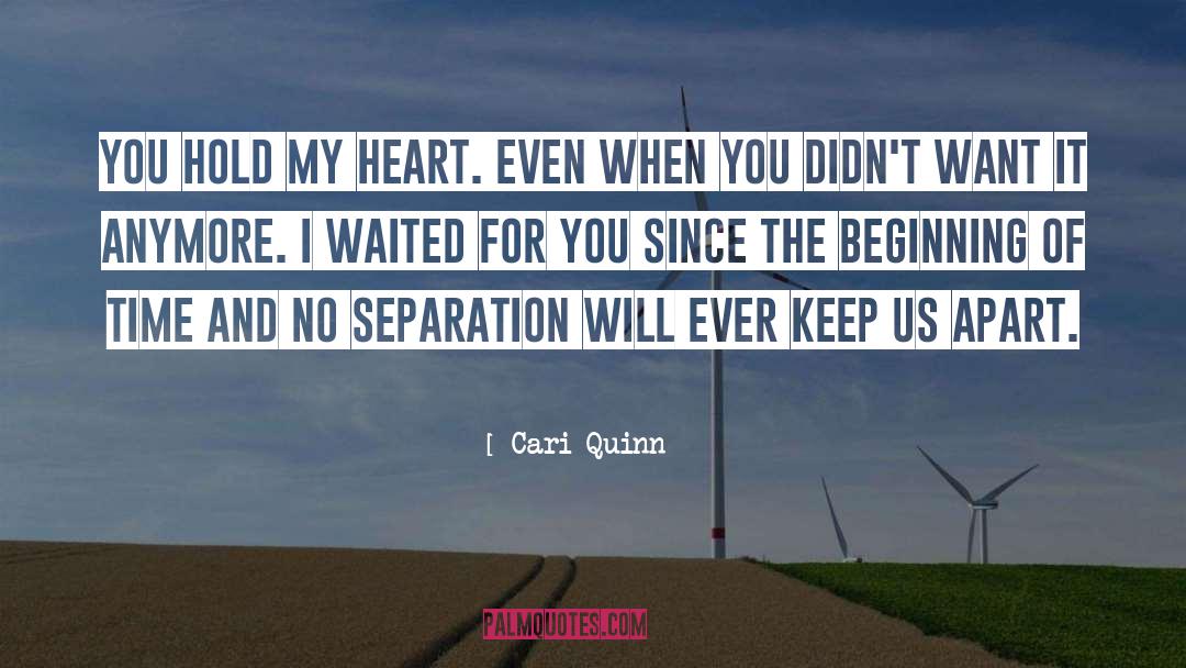 No Separation quotes by Cari Quinn