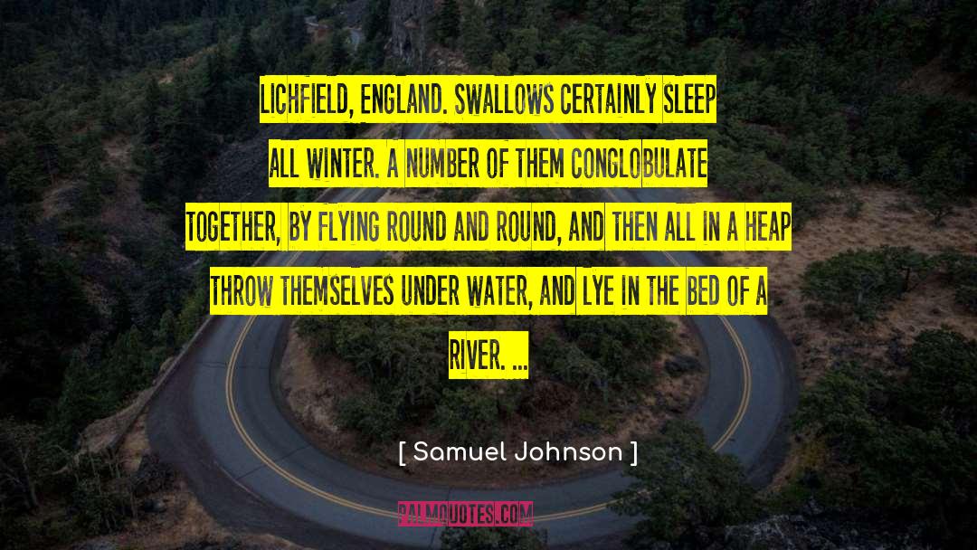 No Sleep quotes by Samuel Johnson