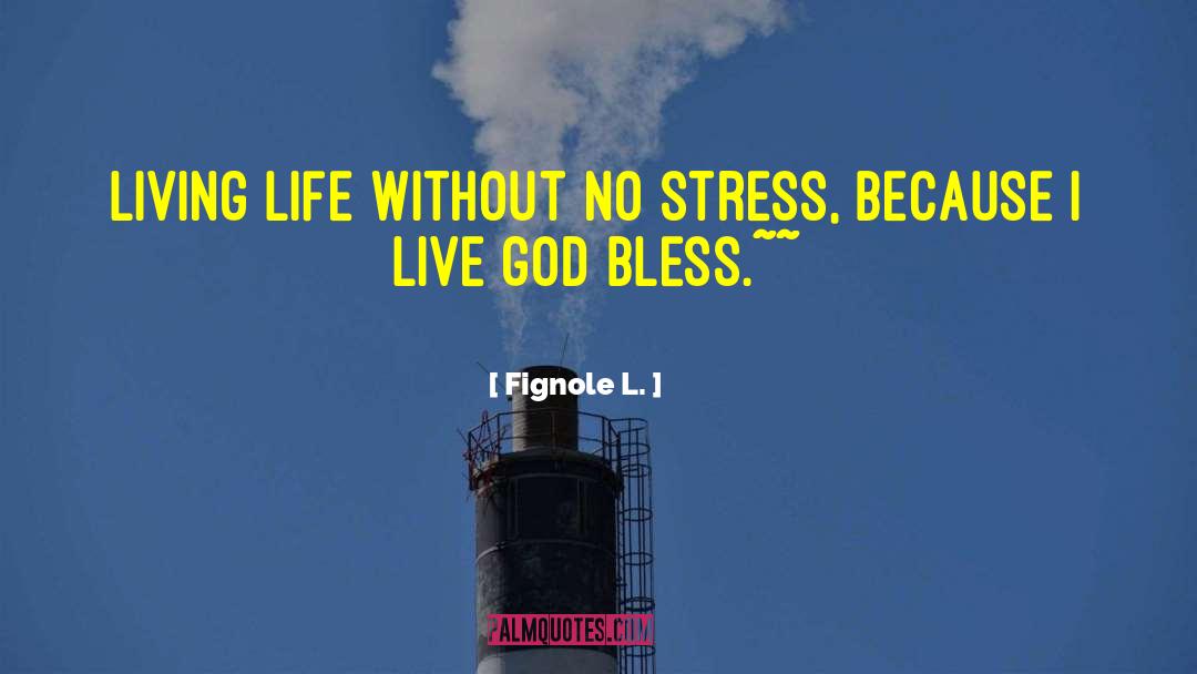 No Stress quotes by Fignole L.