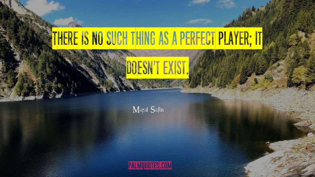 No Such Thing As Perfect Time quotes by Marat Safin