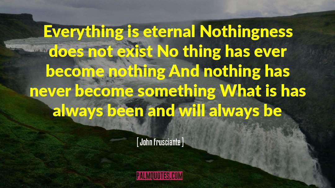 No Thing quotes by John Frusciante