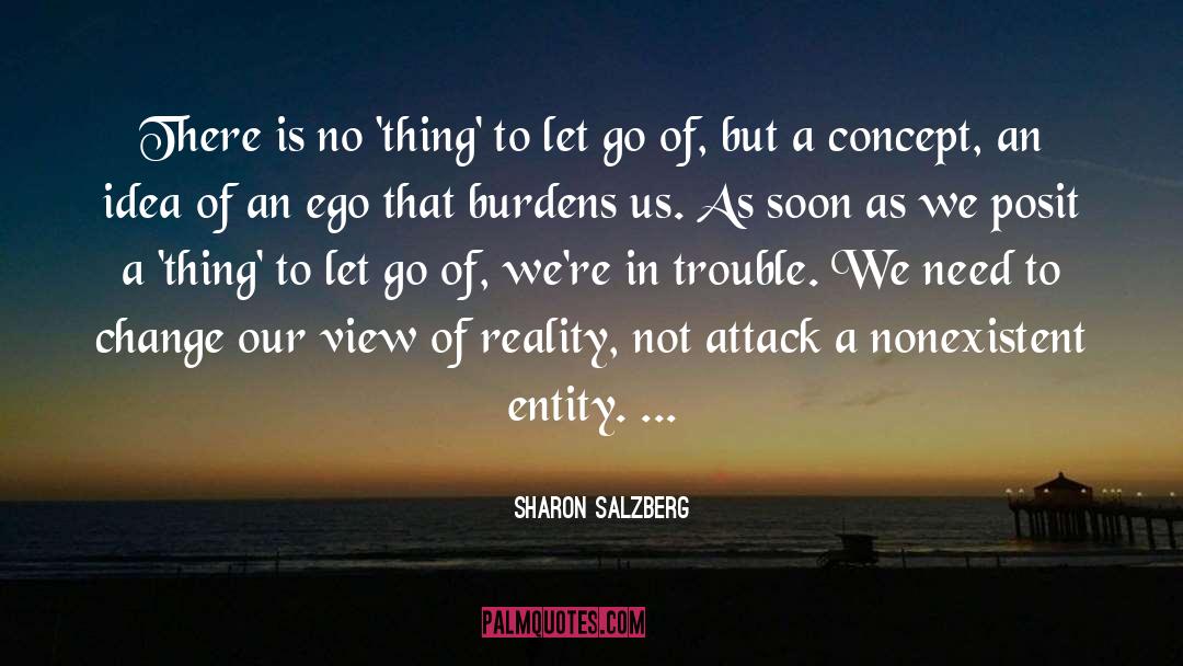 No Thing quotes by Sharon Salzberg