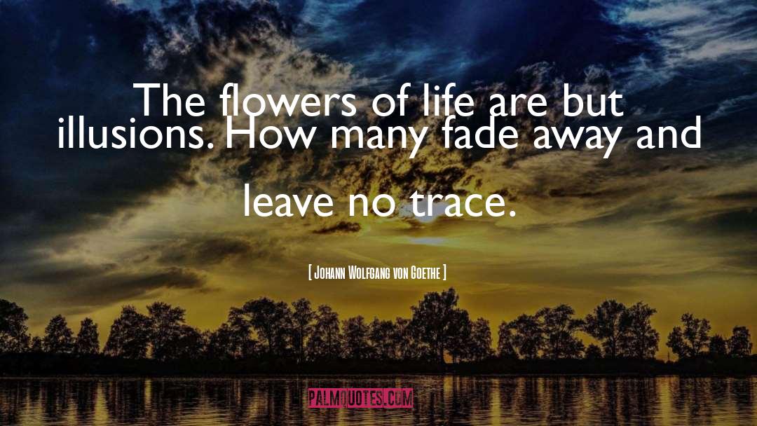 No Trace quotes by Johann Wolfgang Von Goethe
