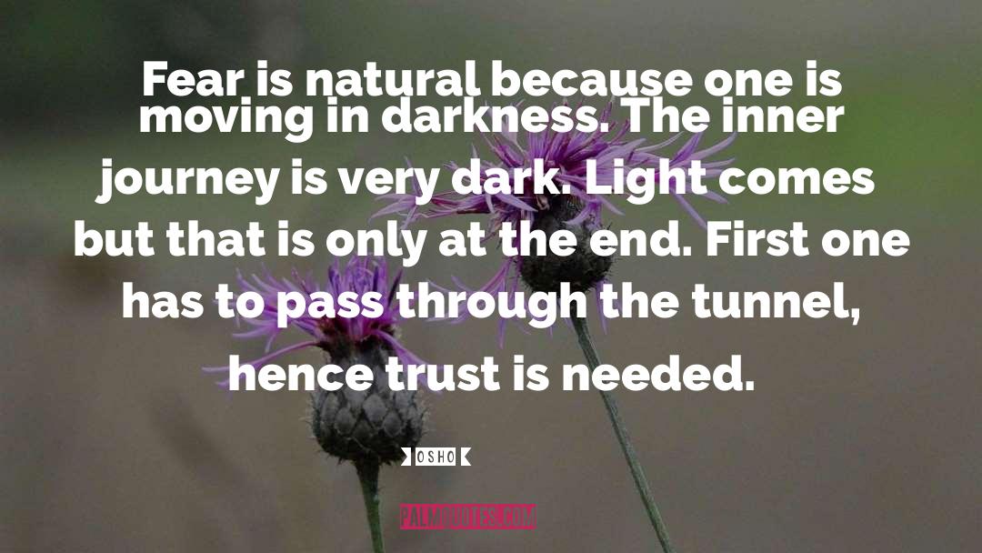 No Trust quotes by Osho