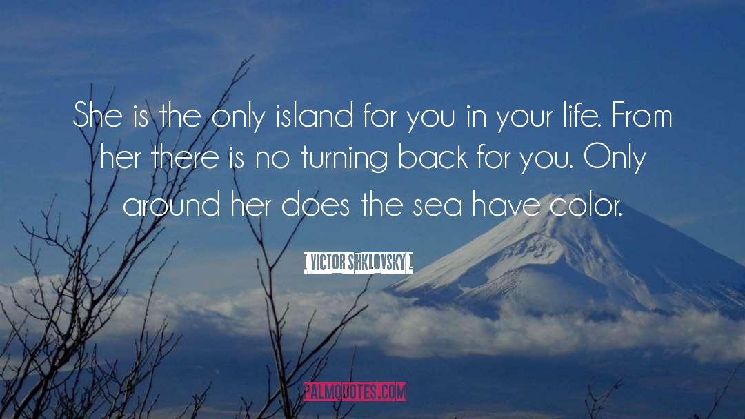 No Turning Back quotes by Victor Shklovsky